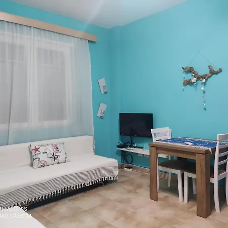 Seashell * Velipojë